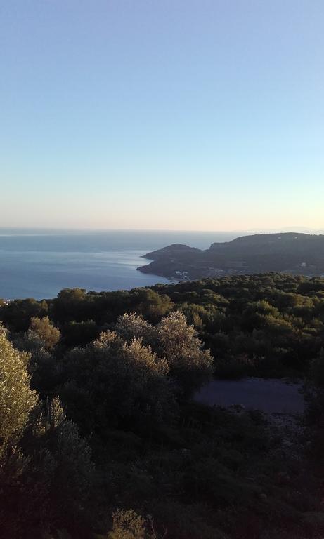 ホテル Barbara II Agia Marina  エクステリア 写真